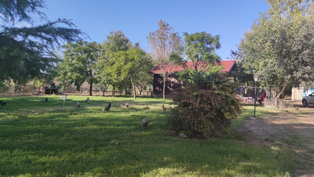 Casas Rurales Tabla Honda Эль-Робледо Экстерьер фото