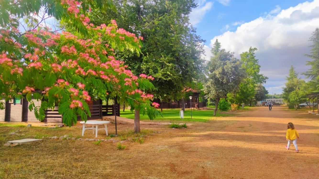 Casas Rurales Tabla Honda Эль-Робледо Экстерьер фото